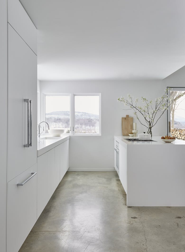 Tina-Ramchandani-Interior-Design-Stone-Ridge-Kitchen-Kitchen-With-Windows