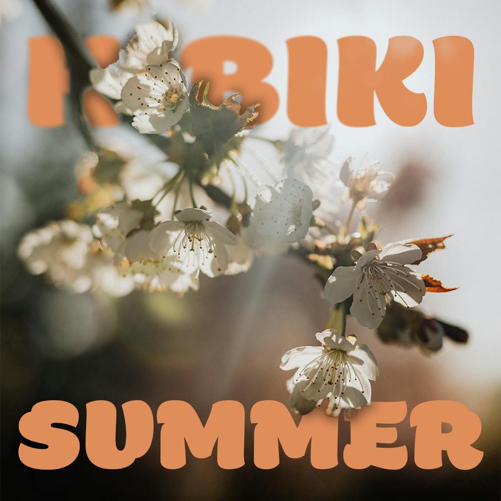 Cover art for playlist "Hibiki Summer"