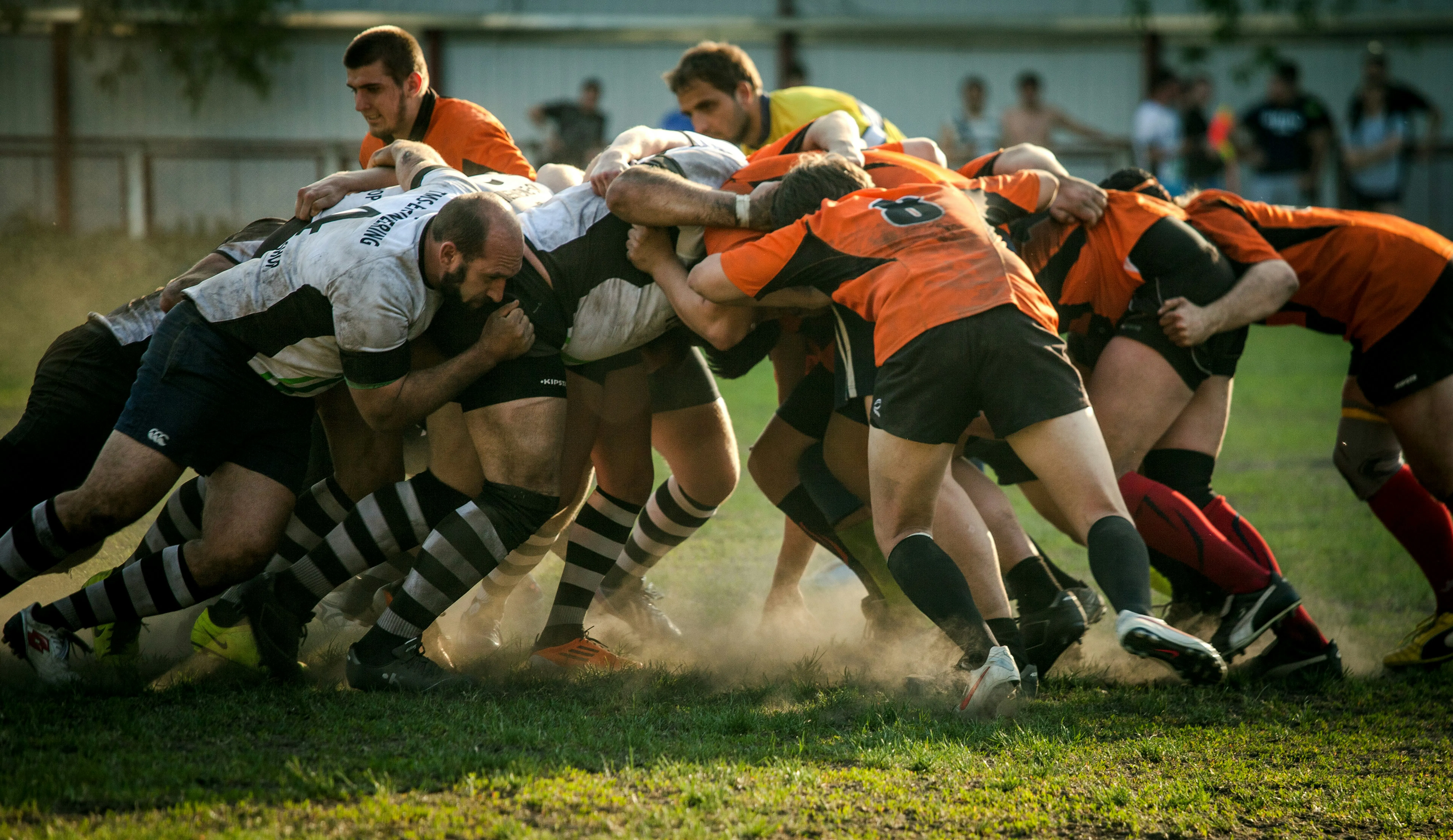 Scrum of rugby players