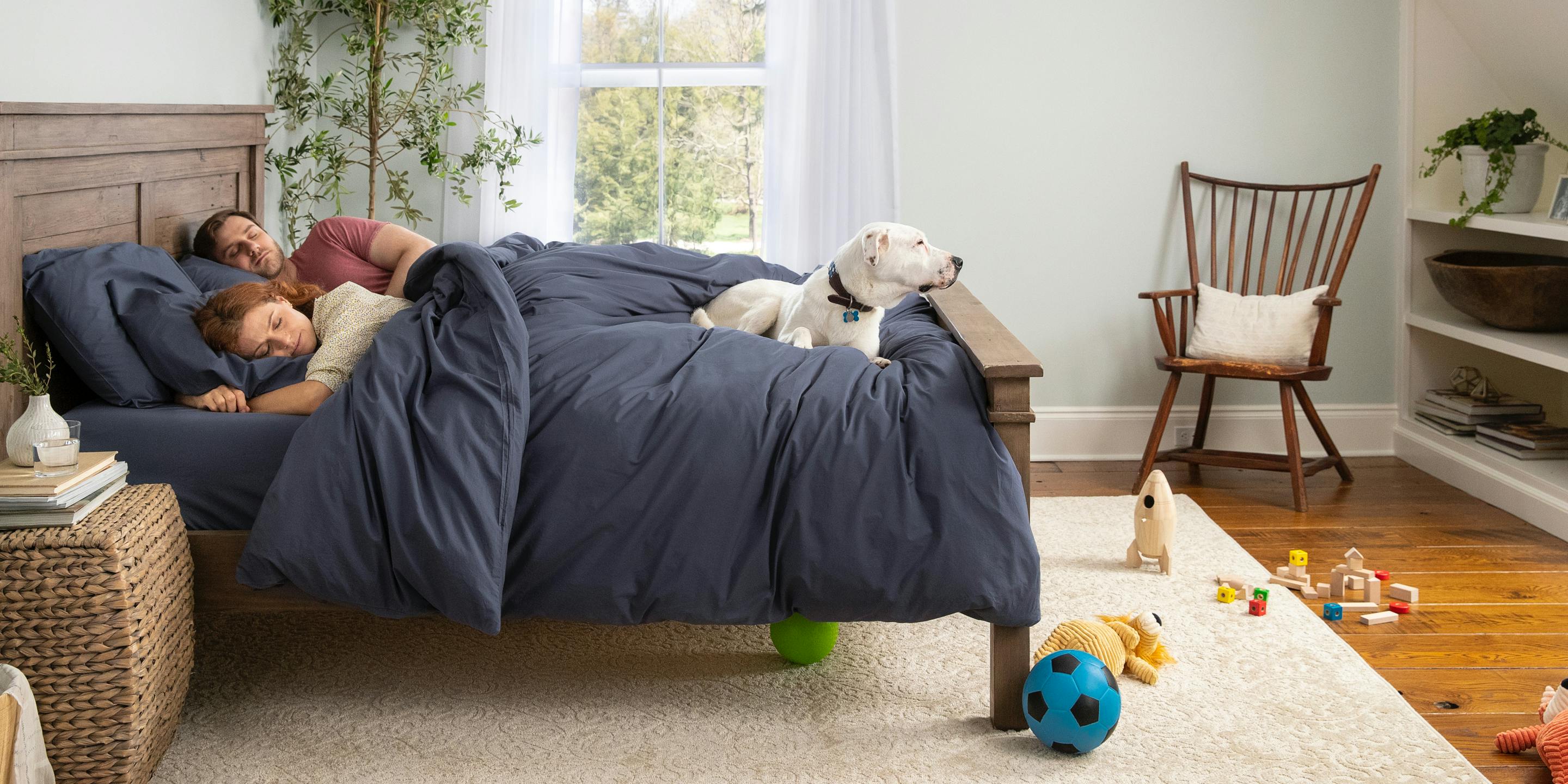 A man, woman, and dog sleeping in a bed