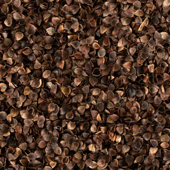 Close up shot of brown hulls.