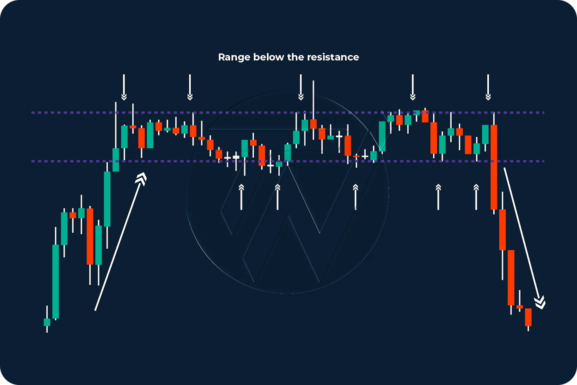 What is a Bull Trap & How Do I Avoid It? — A Complete Guide
