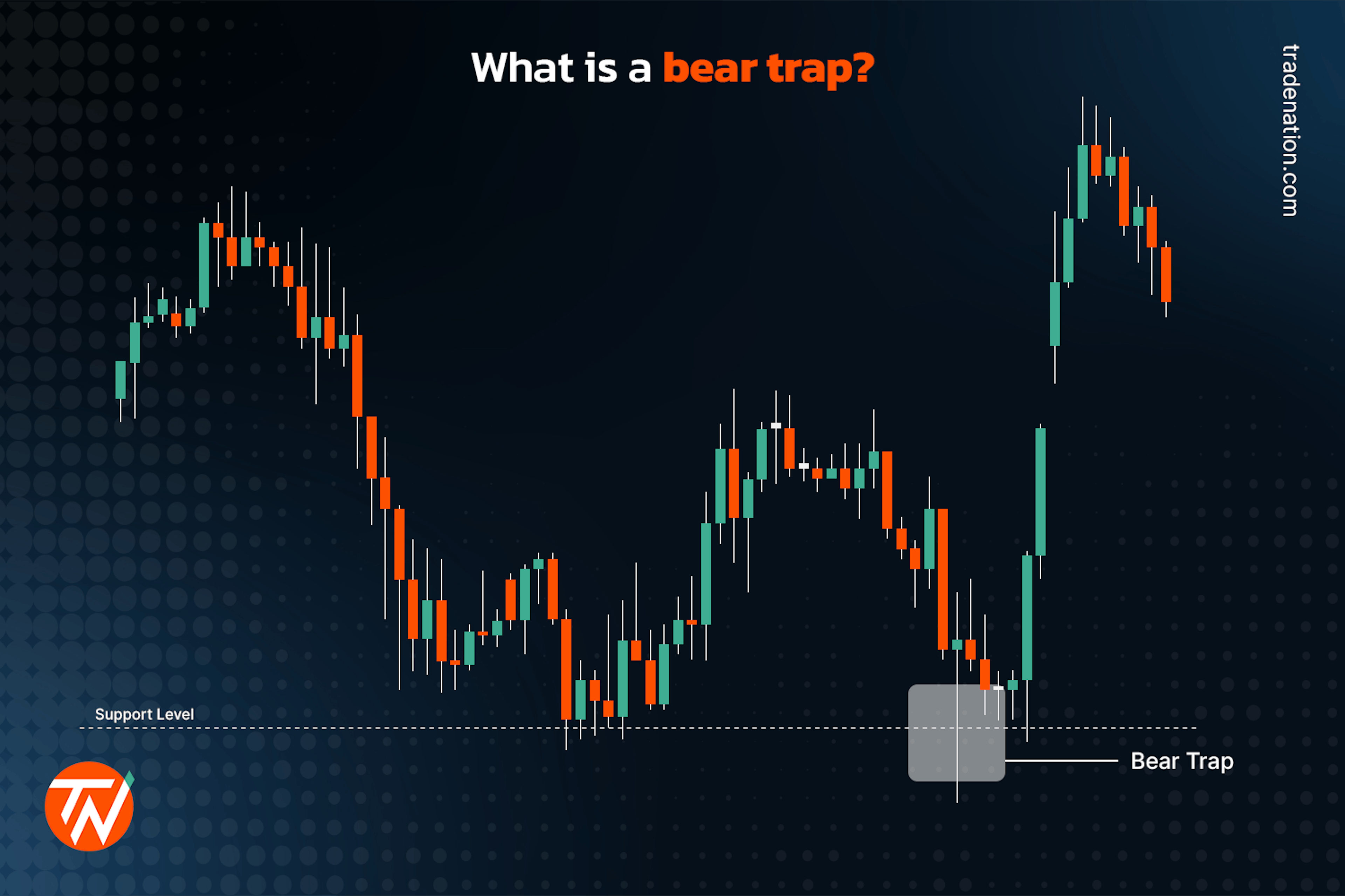 Bear trap explained