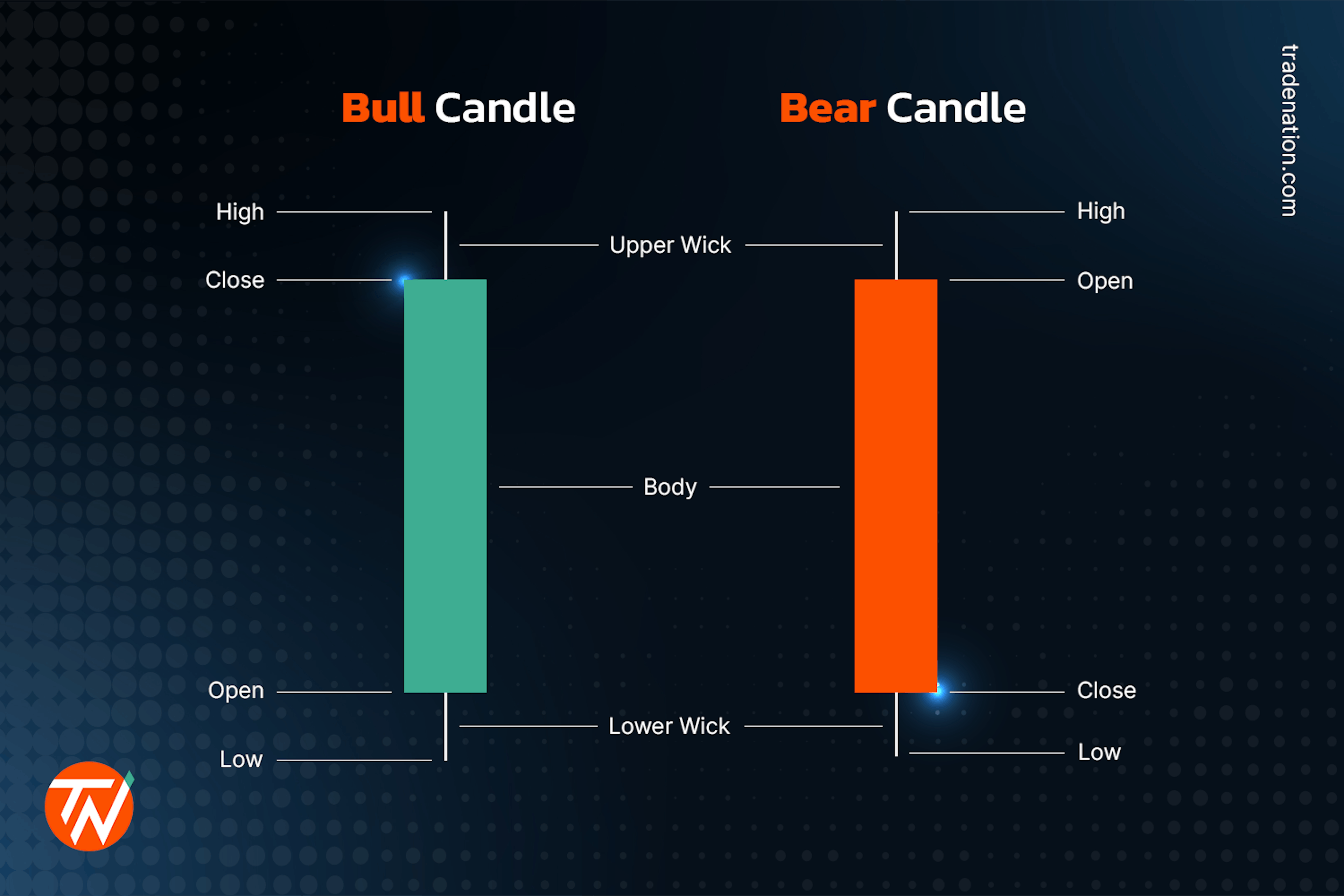 Bull and bear candles with details on what information a single candle provides.