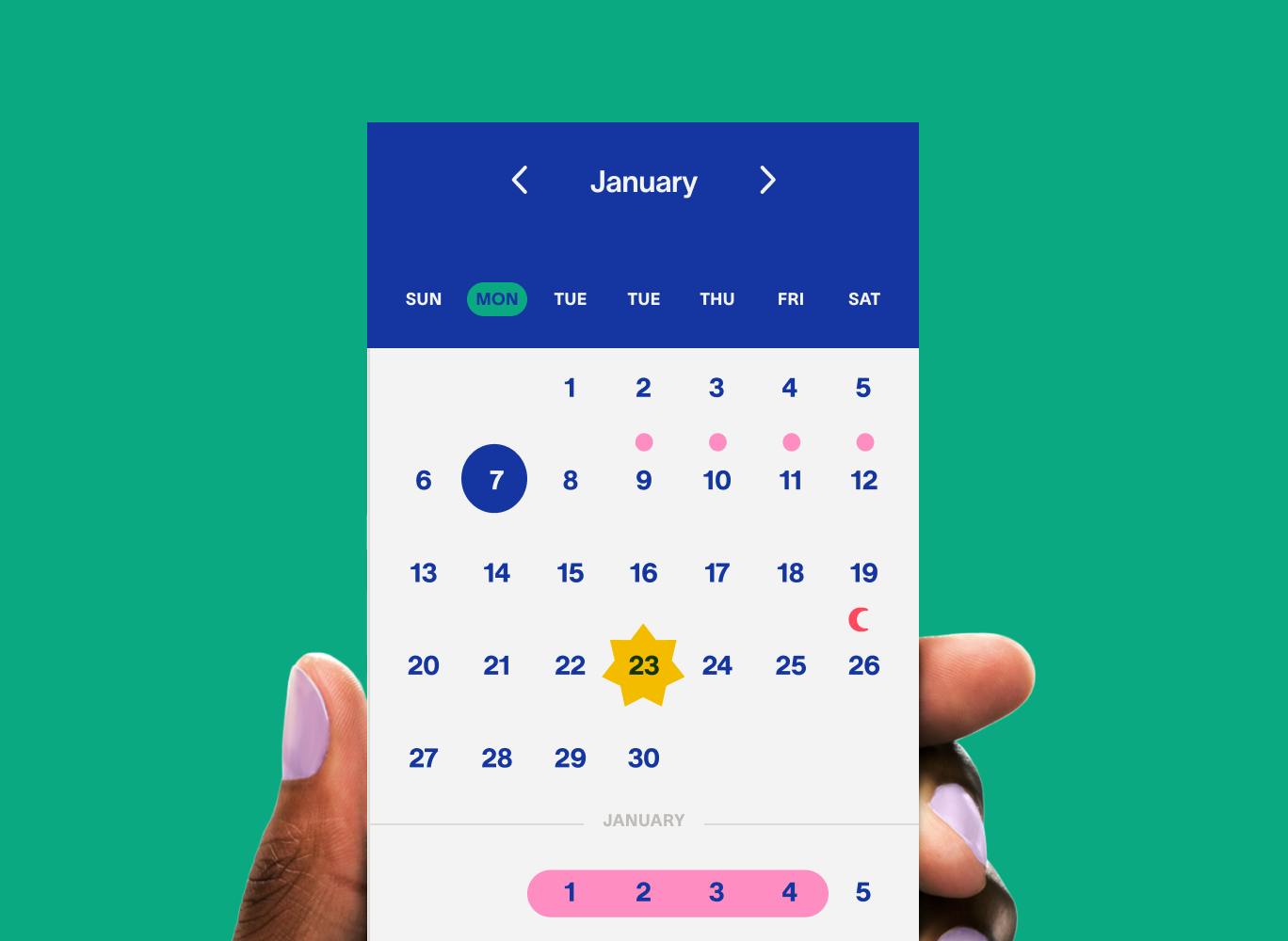 Tofu Design Period Pal