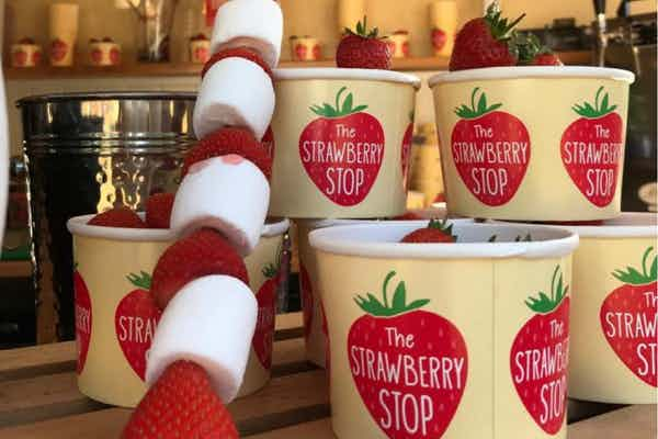 Strawberry Shop