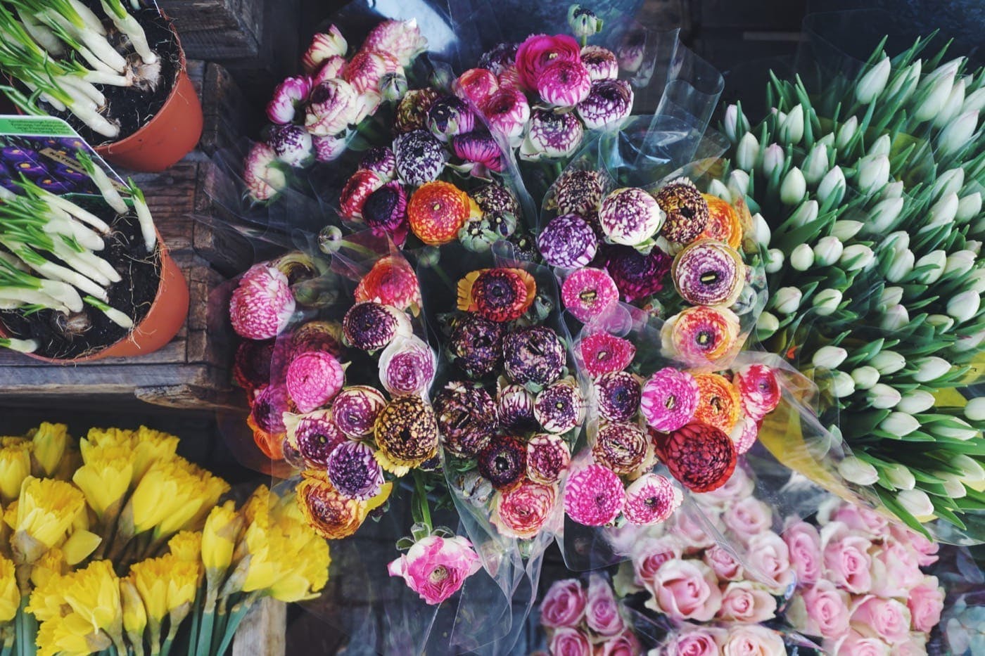 florists