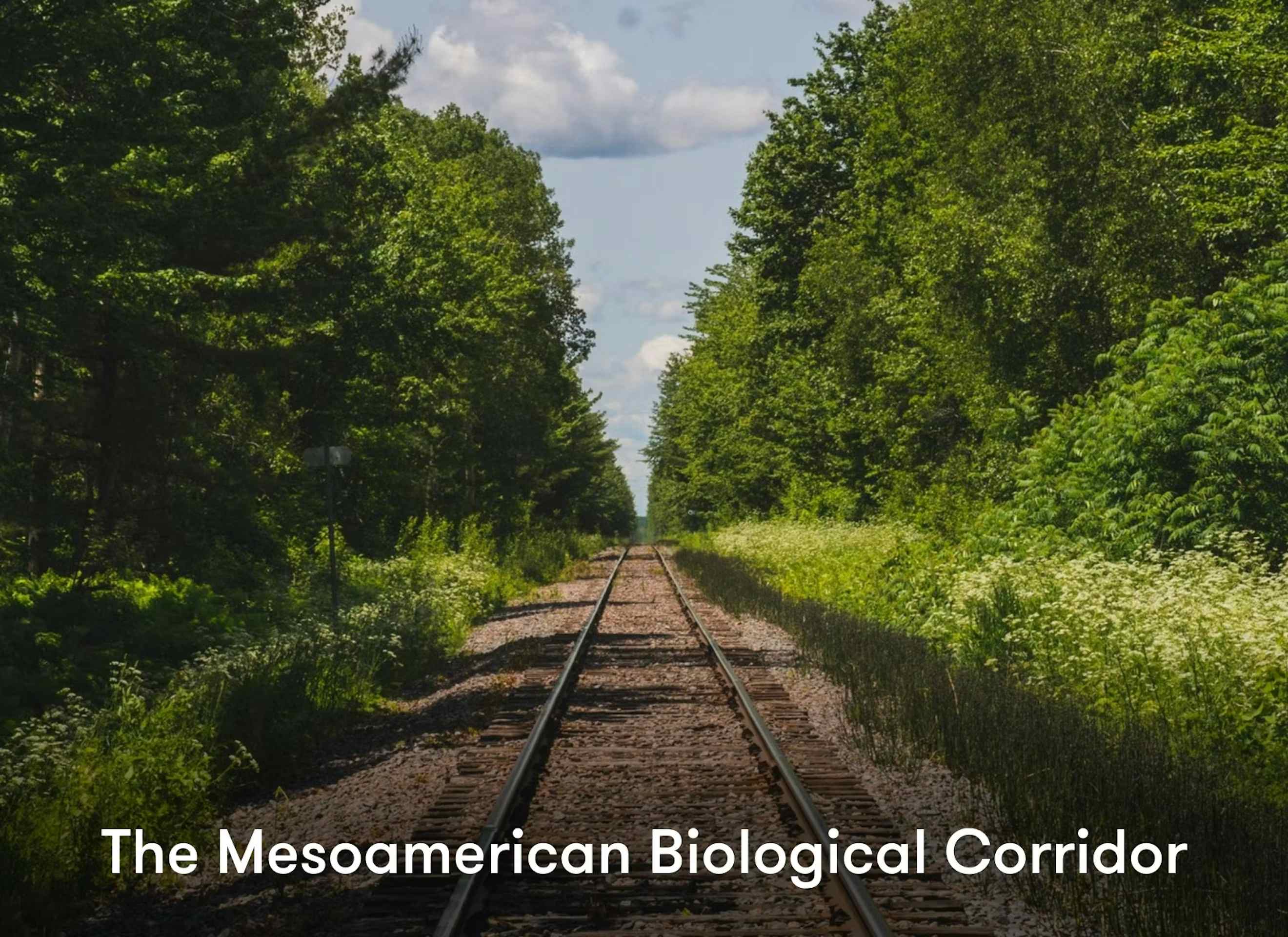 the mesoamerican biological corridor