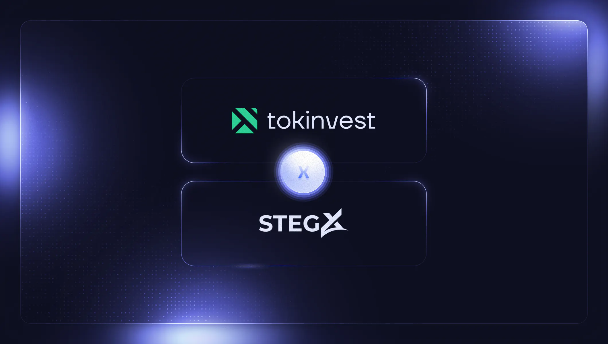 Graphic with the "Tokinvest" and "StegX" logos, representing their partnership.