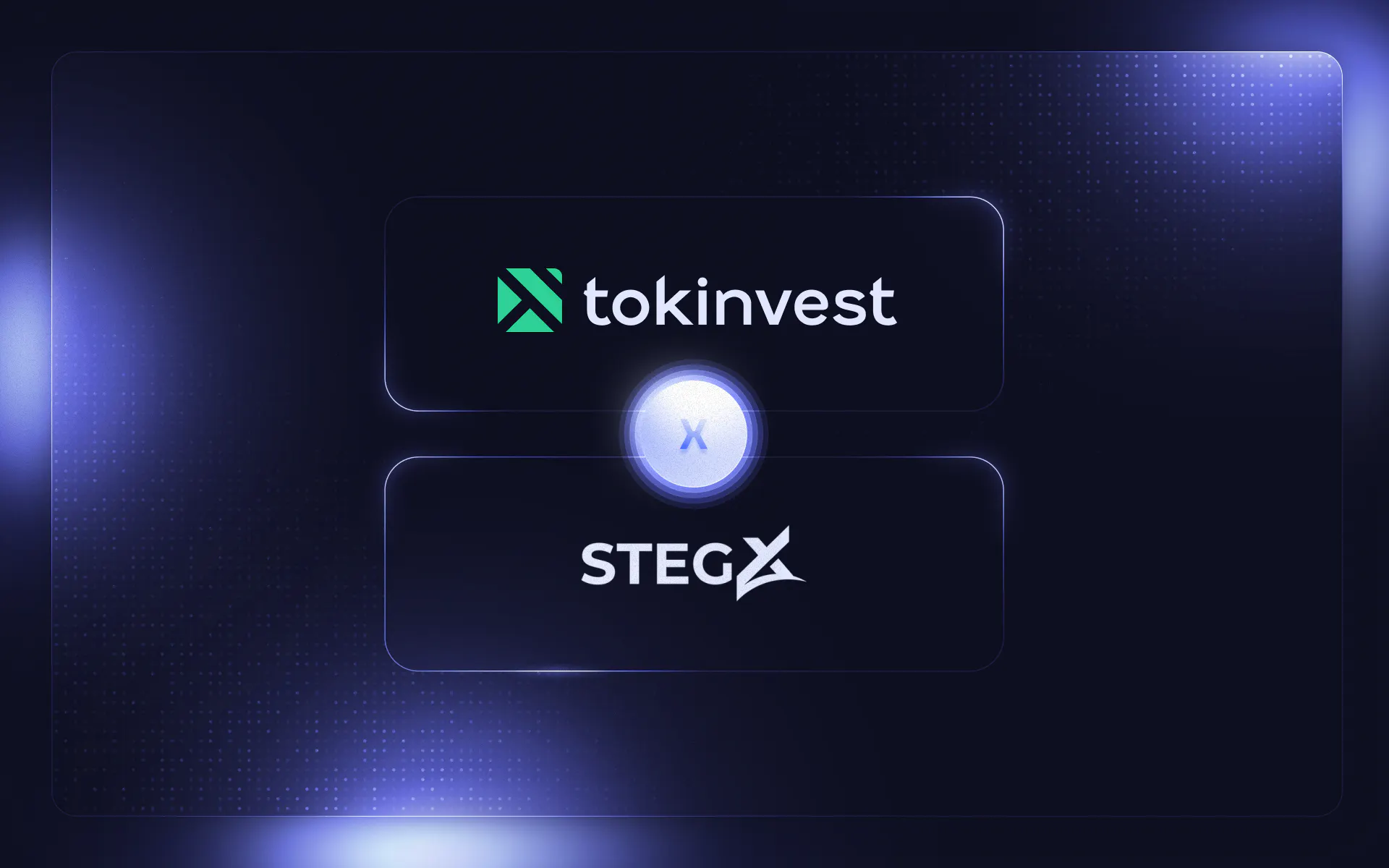Graphic with the "Tokinvest" and "StegX" logos, representing their partnership. 