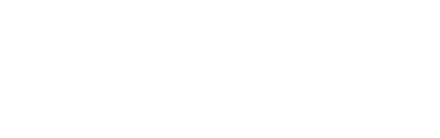 Dubai Racing Club Logo