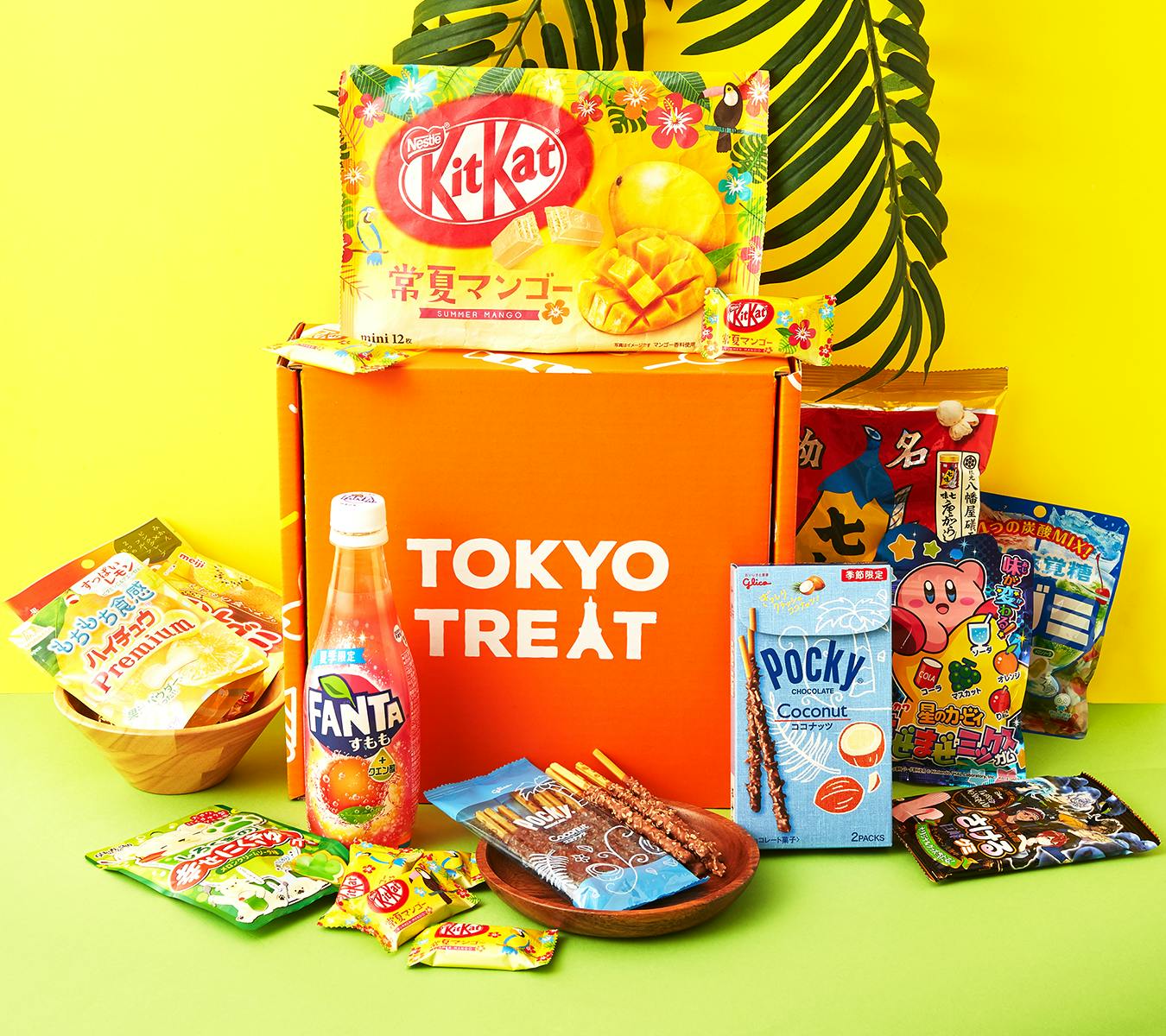 Tokyo Treat Japanese Snack Subscription Review - Snakku