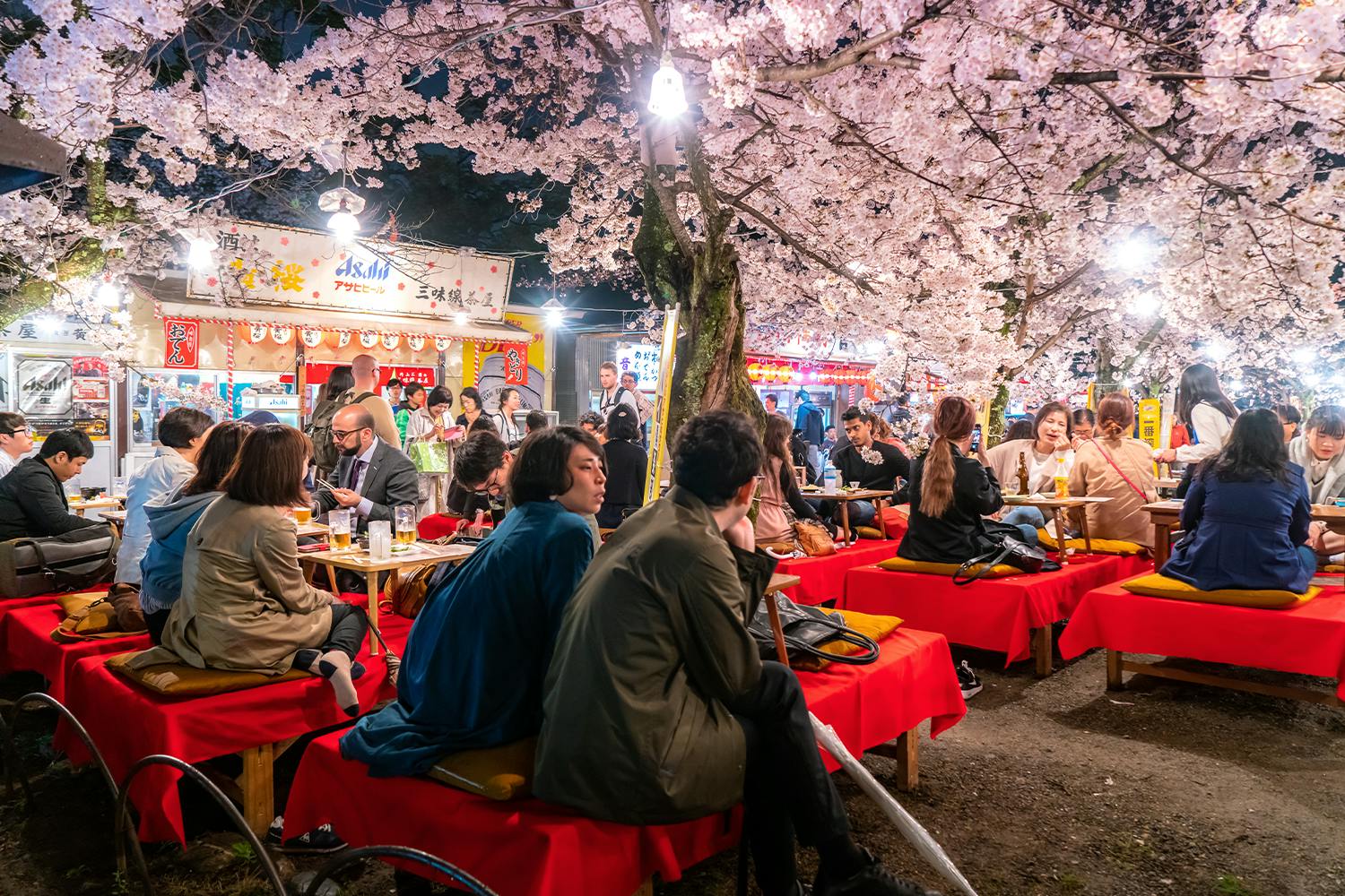A sakura night time matsuri festival is displayed, along with festival attendees, sakura trees, and bright lights and food stalls.
