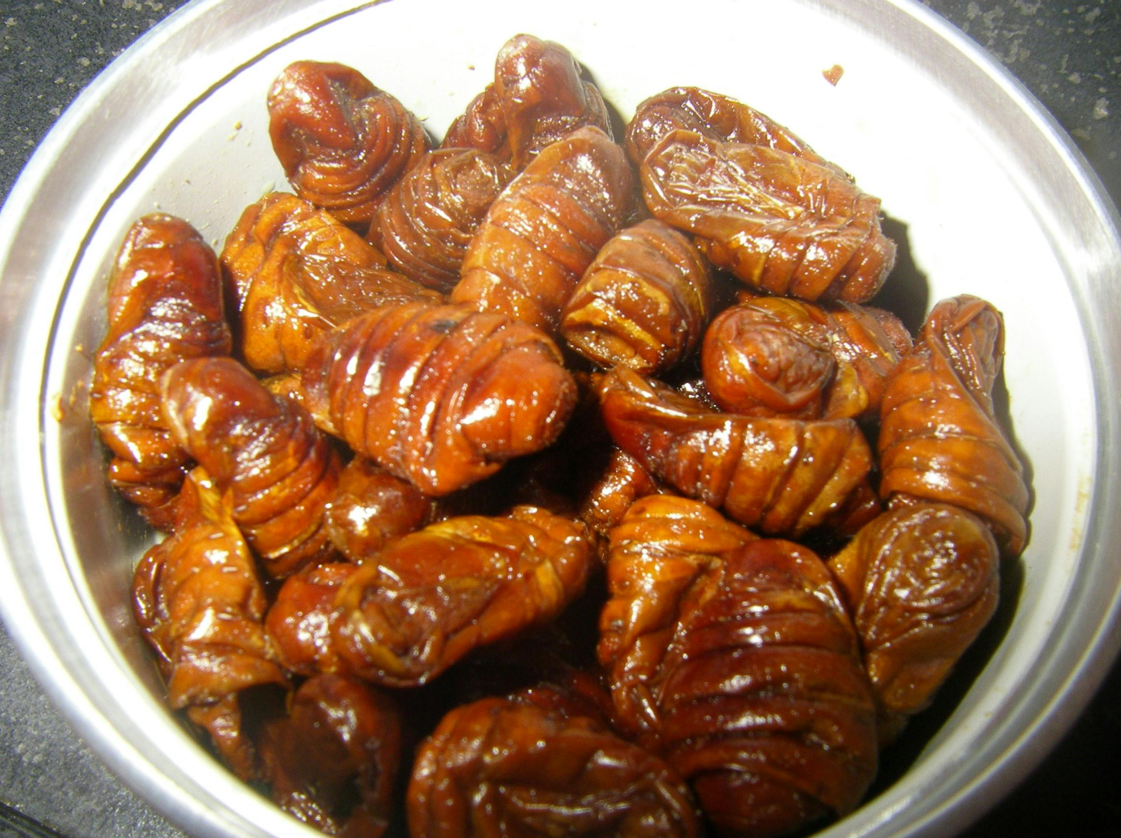 3 Crazy Bugs You Can Eat in Japan TokyoTreat Japanese Candy & Snacks