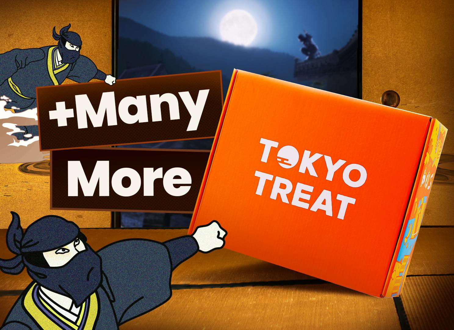 The TokyoTreat box sits on the tatami mats of an old Japanese old, surrounded by ninja.