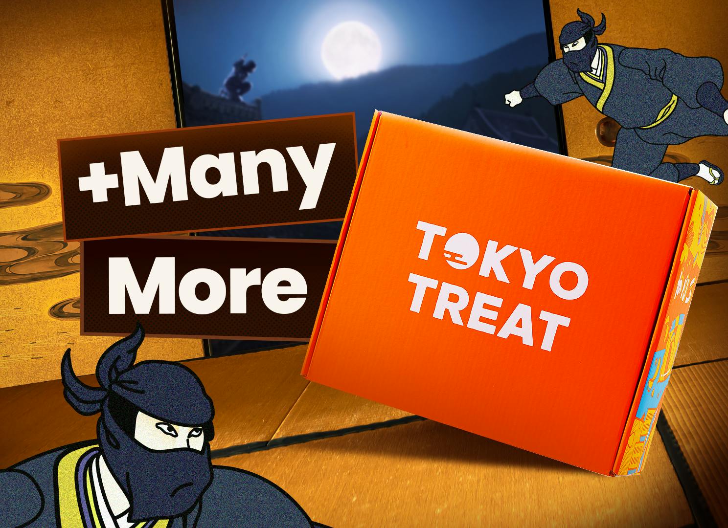 The TokyoTreat box sits on a tatami-lined floor of a traditional Japanese home, surrounded by ninjas.