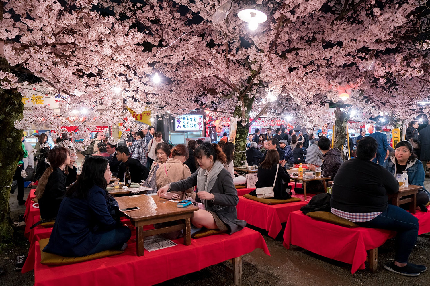 A group of festival-goers sit at tables next to food stalls at a sakura festival.