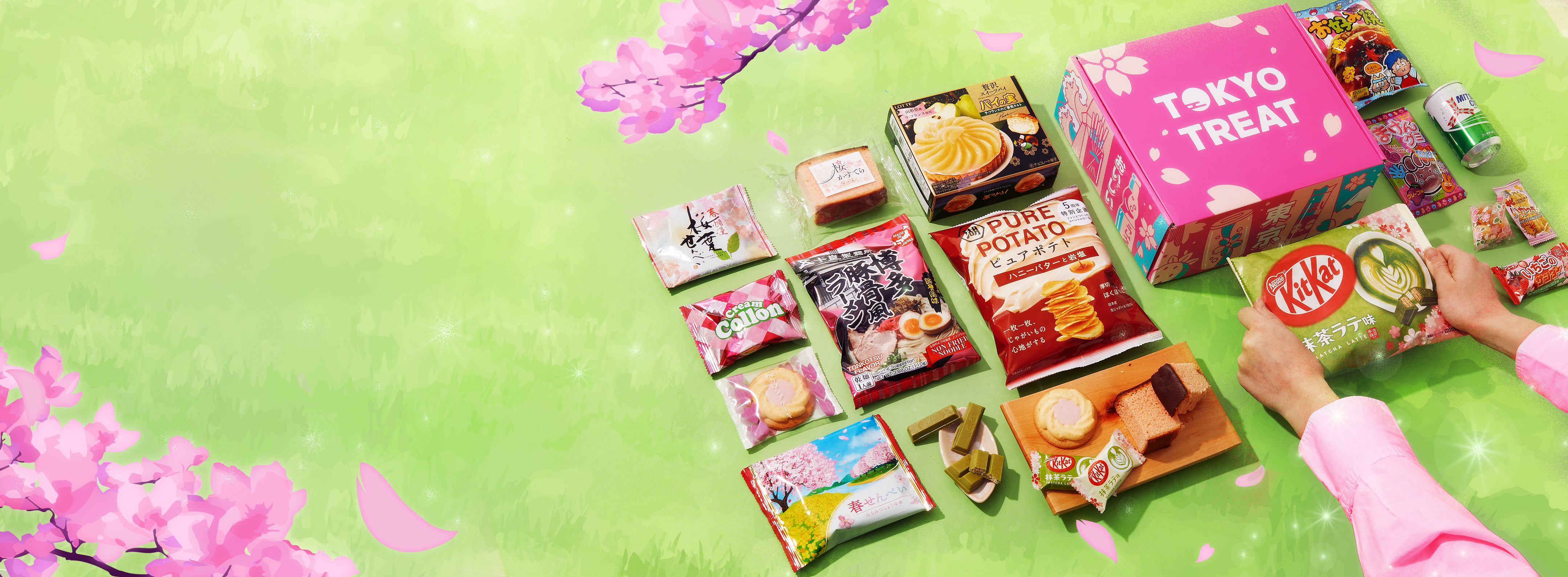 TokyoTreat box sits against a bright green grass background, surrounded by box items and cherry blossoms.