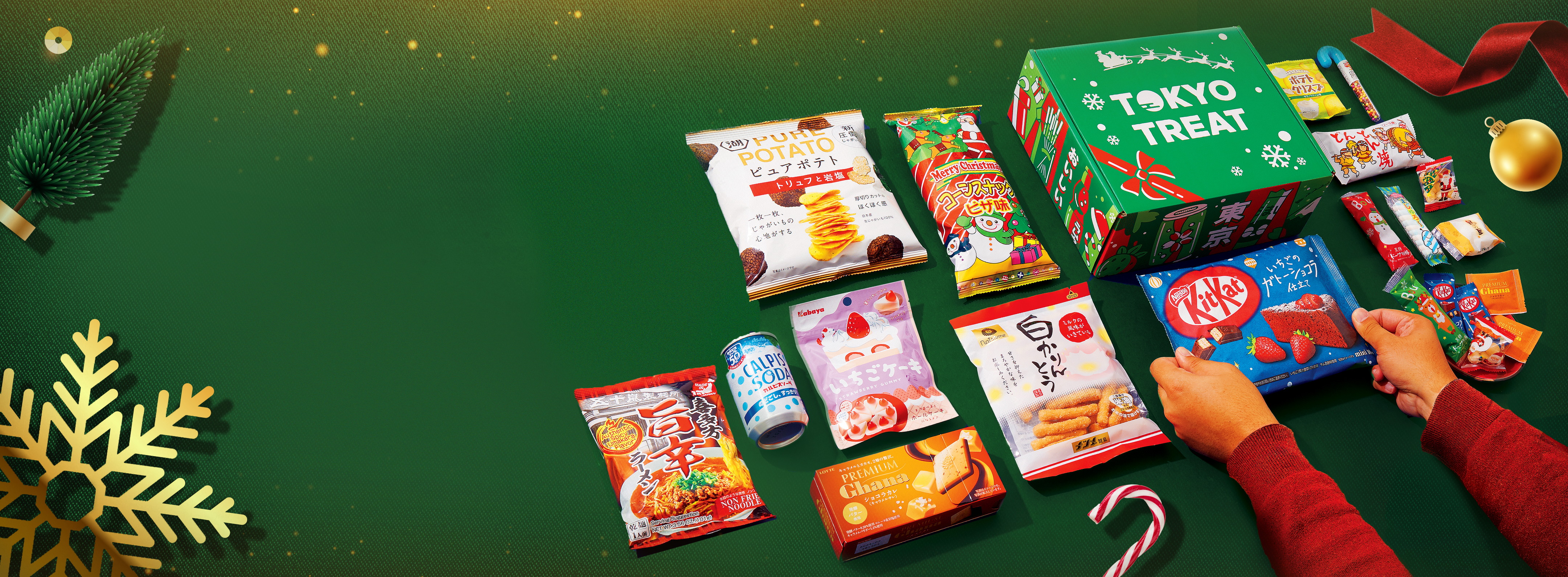 TokyoTreat box sits against a dark green background surrounded by Christmas motifs.