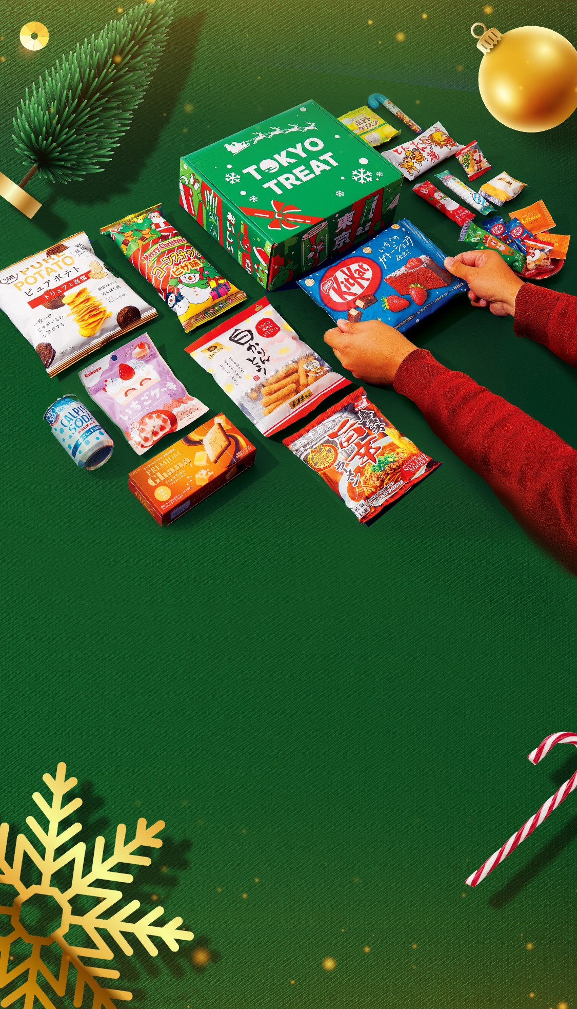 TokyoTreat box sits against a dark green background surrounded by Christmas motifs.