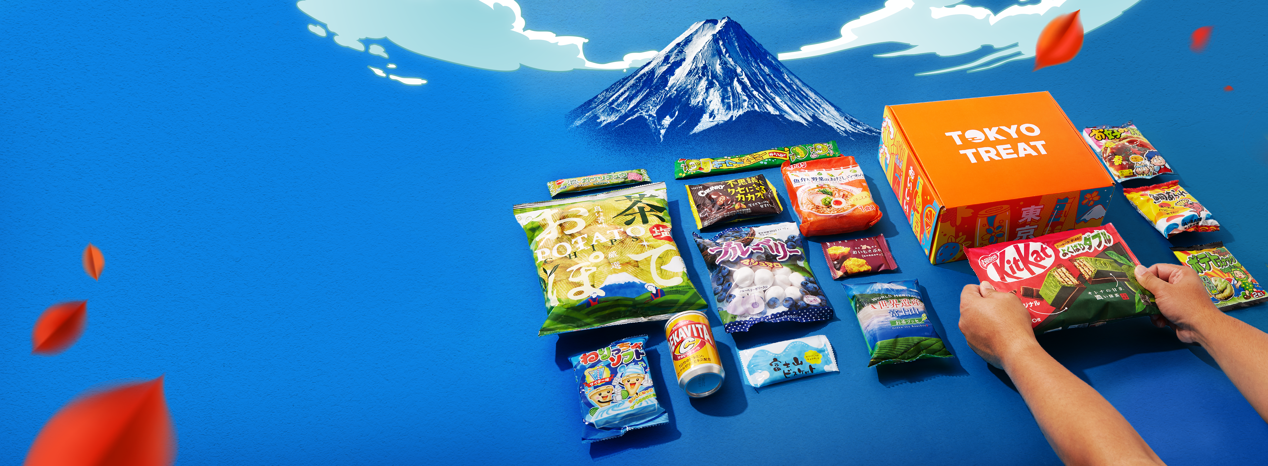 The TokyoTreat box sits against a sky blue background with Japan's Mt. Fuji in the background.