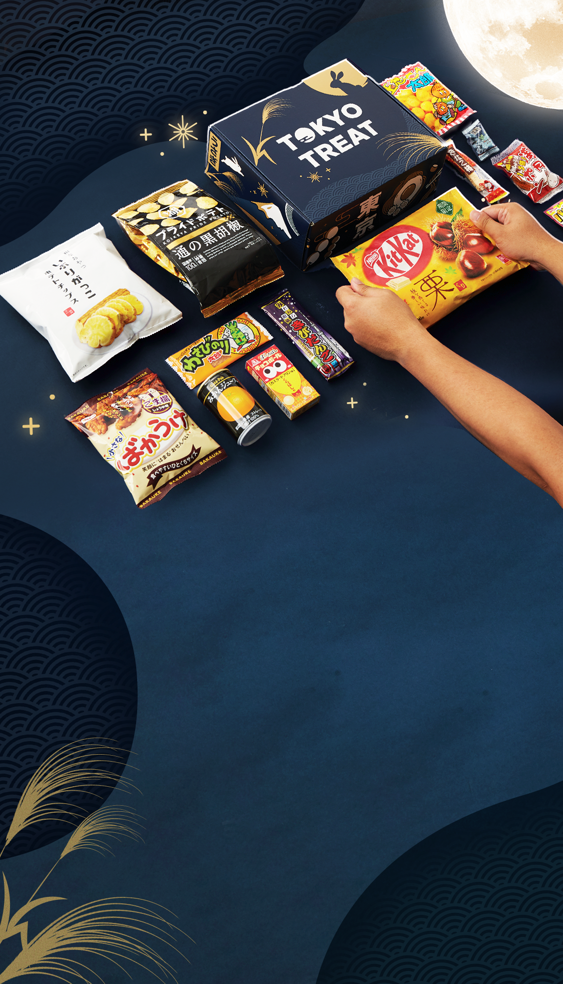 The TokyoTreat box sits against a dark navy backdrop surrounded by Tsukimi motifs.