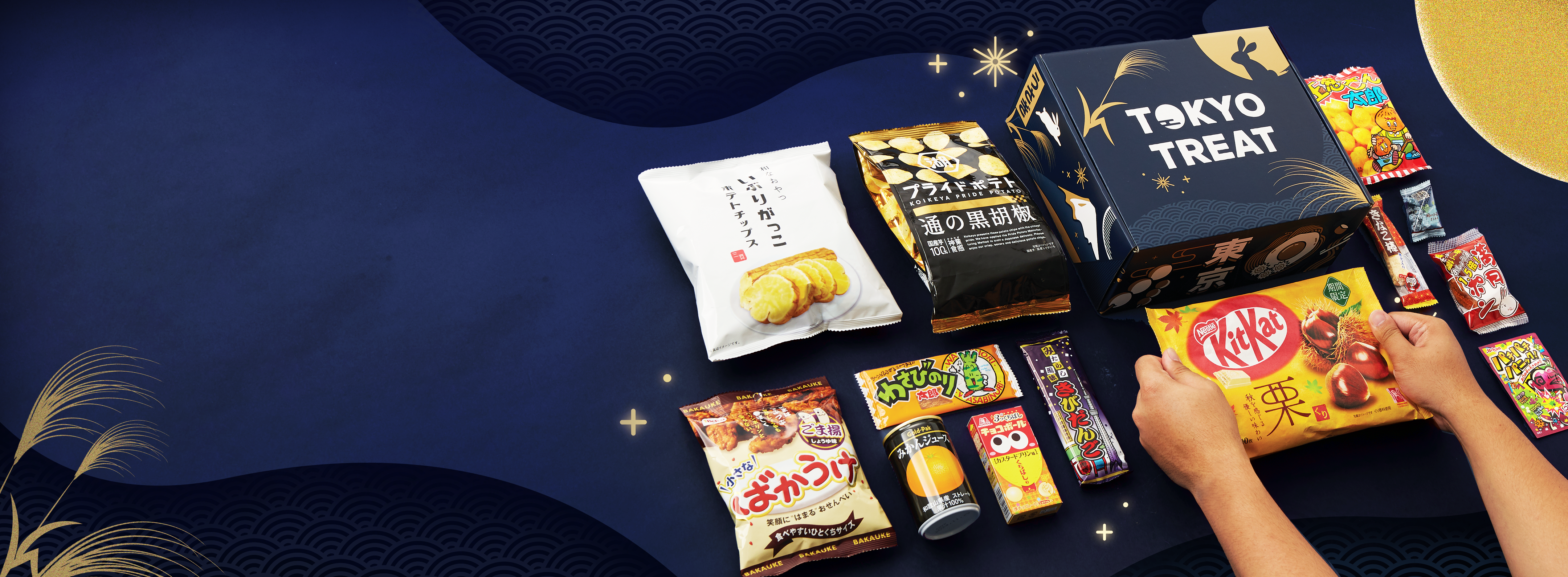 The TokyoTreat box sits against a dark navy backdrop surrounded by Tsukimi motifs.