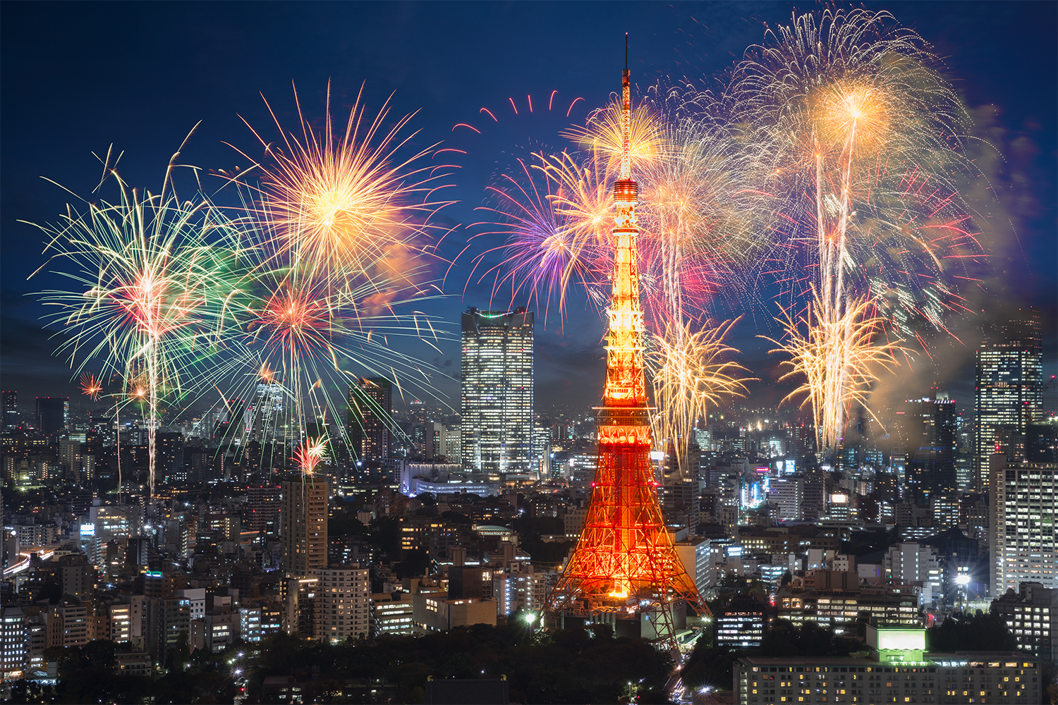 Fireworks light up over the Tokyo skyline.