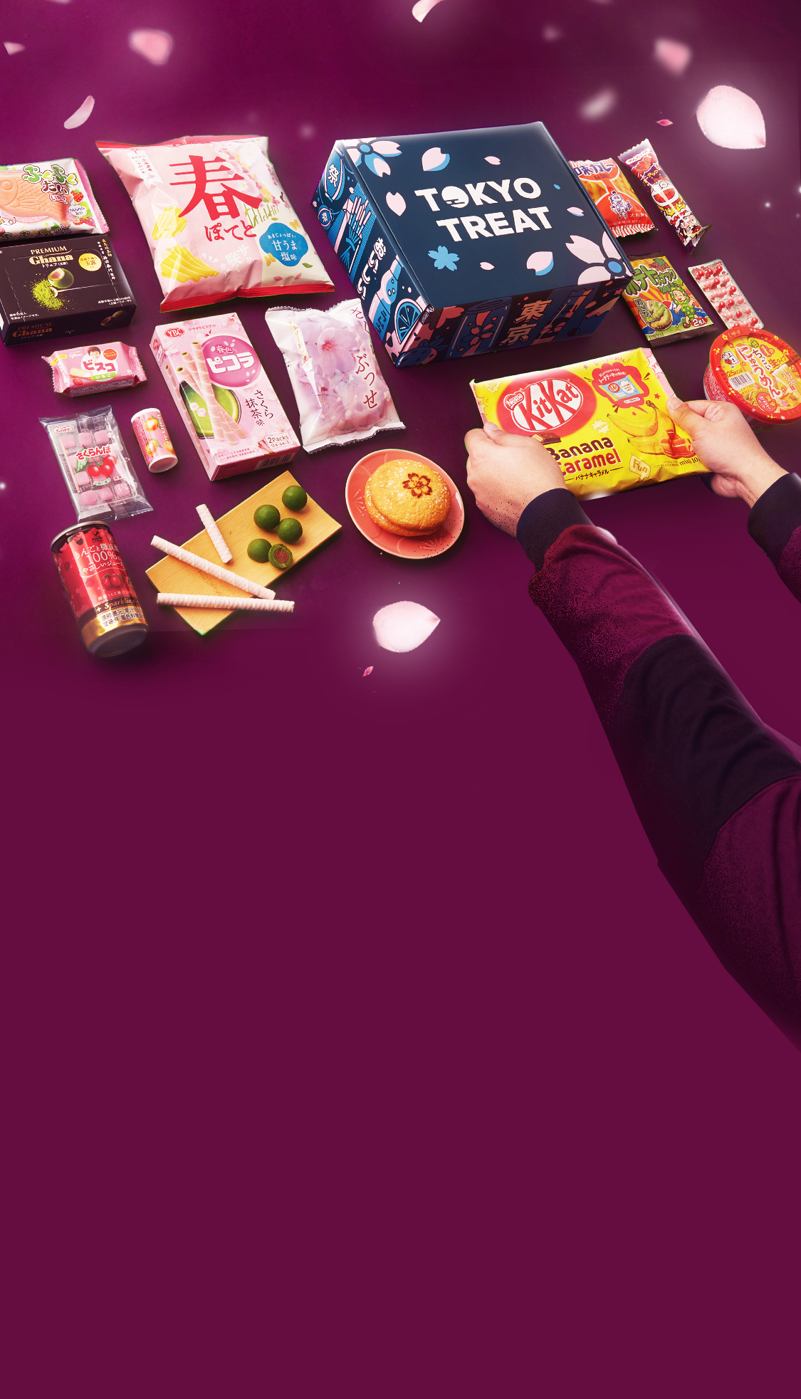 TokyoTreat box sits against a dark purple backdrop, surrounded by box items and cherry blossom petals.