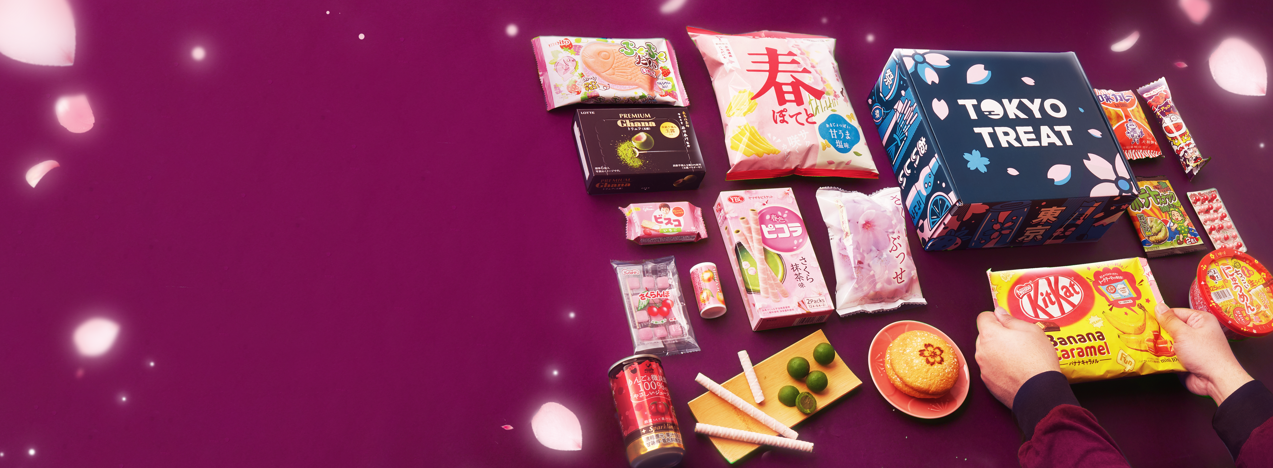 TokyoTreat box sits against a dark purple backdrop, surrounded by box items and cherry blossom petals.