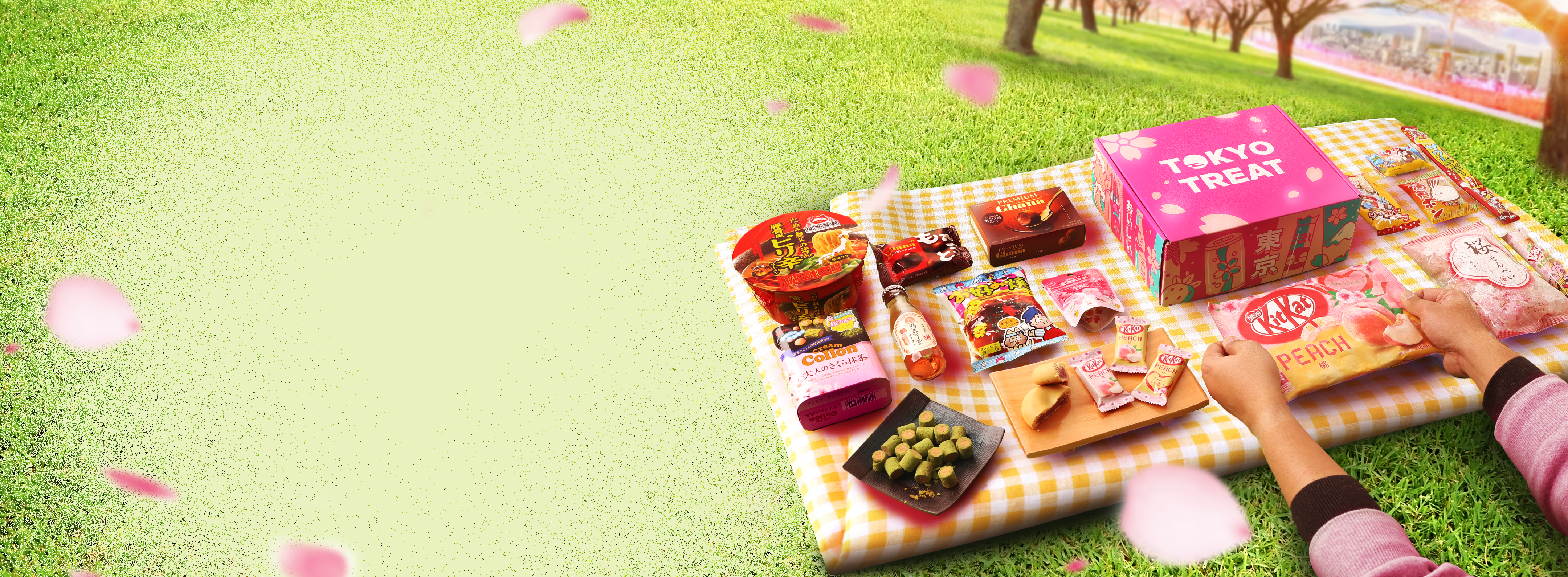 TokyoTreat box sits atop a picnic blanket at a grassy Tokyo park, surrounded by box items and cherry blossom petals.