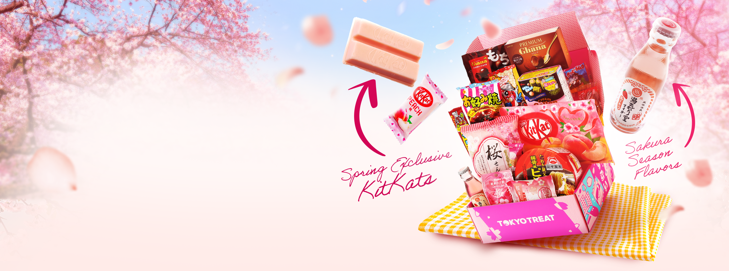 Tokyo Treat - Great Deal on Mother’s Day Gift Ideas