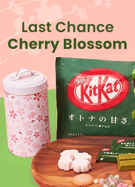 Last Chance Cherry Blossom!
