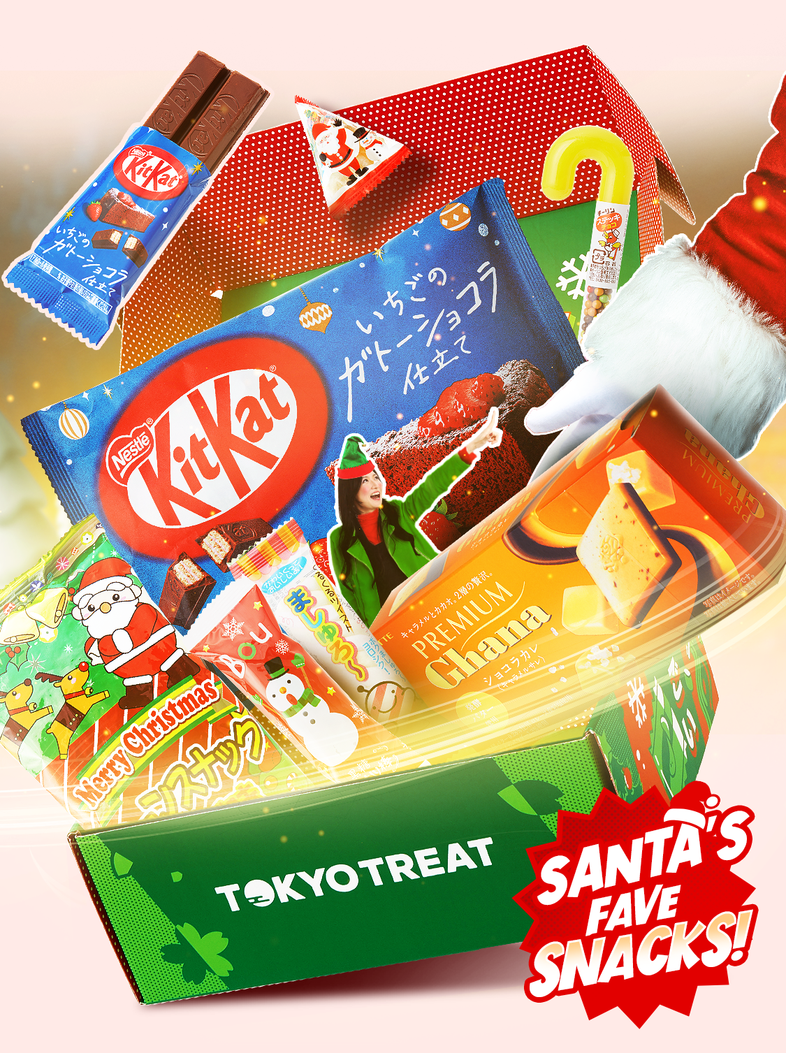 Japanese Snack Box TokyoTreat