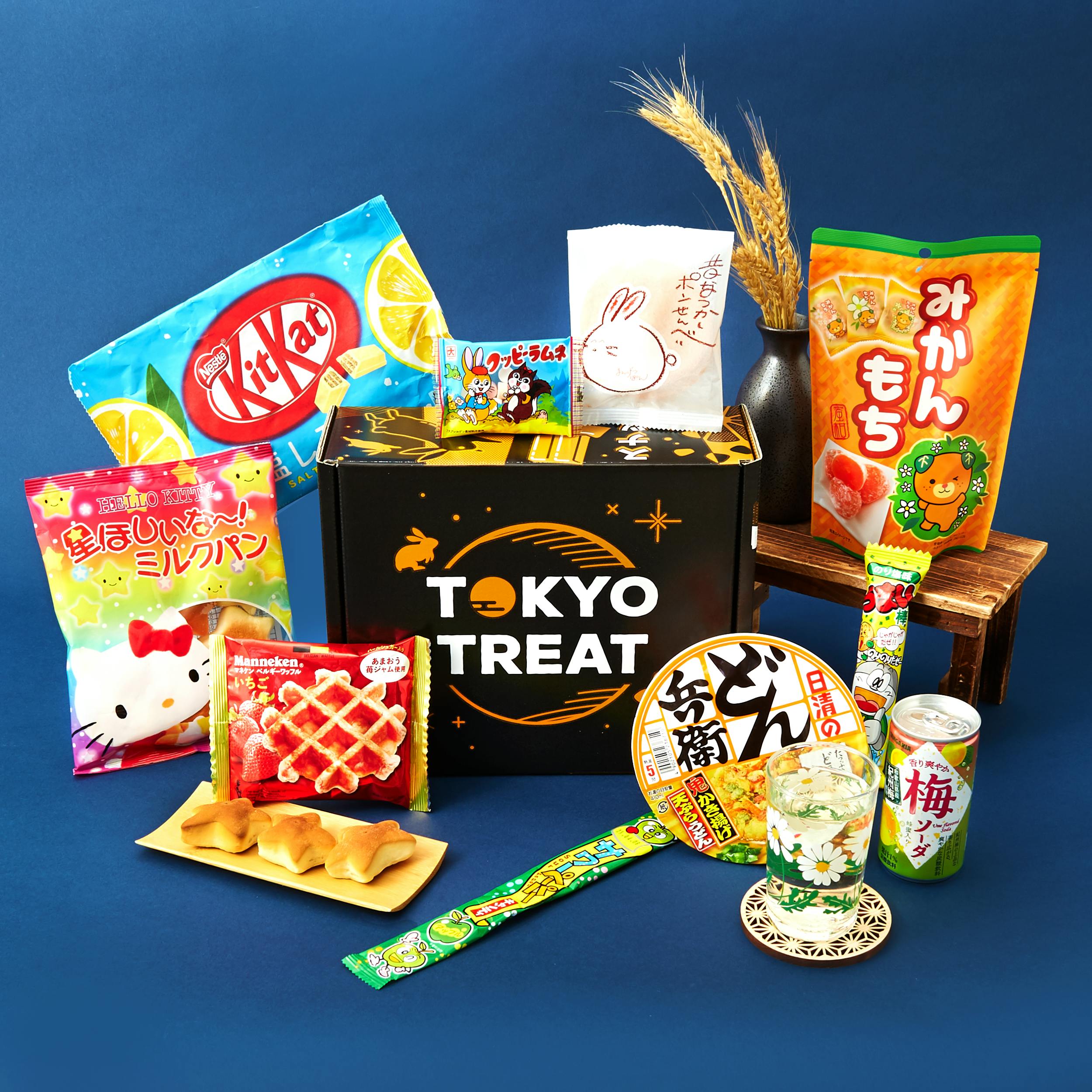 Tokyo Treat Review September 2018: Fruity Flavors