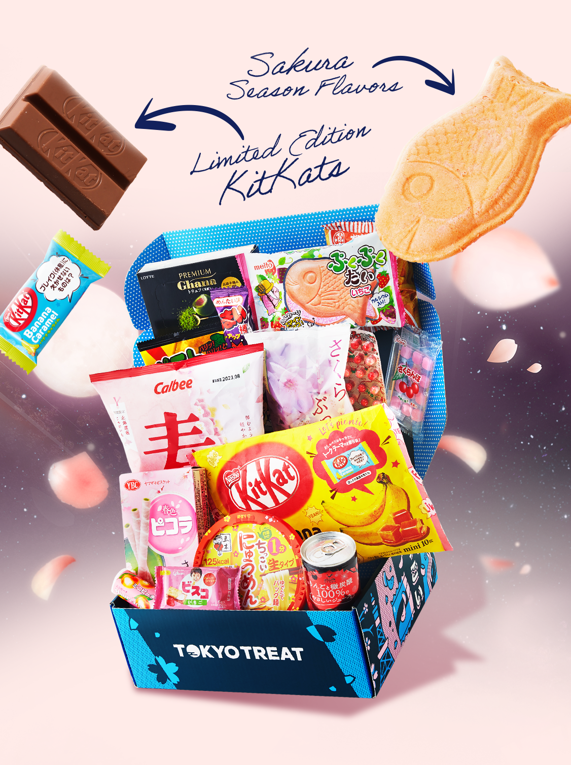 TokyoTreat: Japanese Candy & Snacks Subscription Boxes