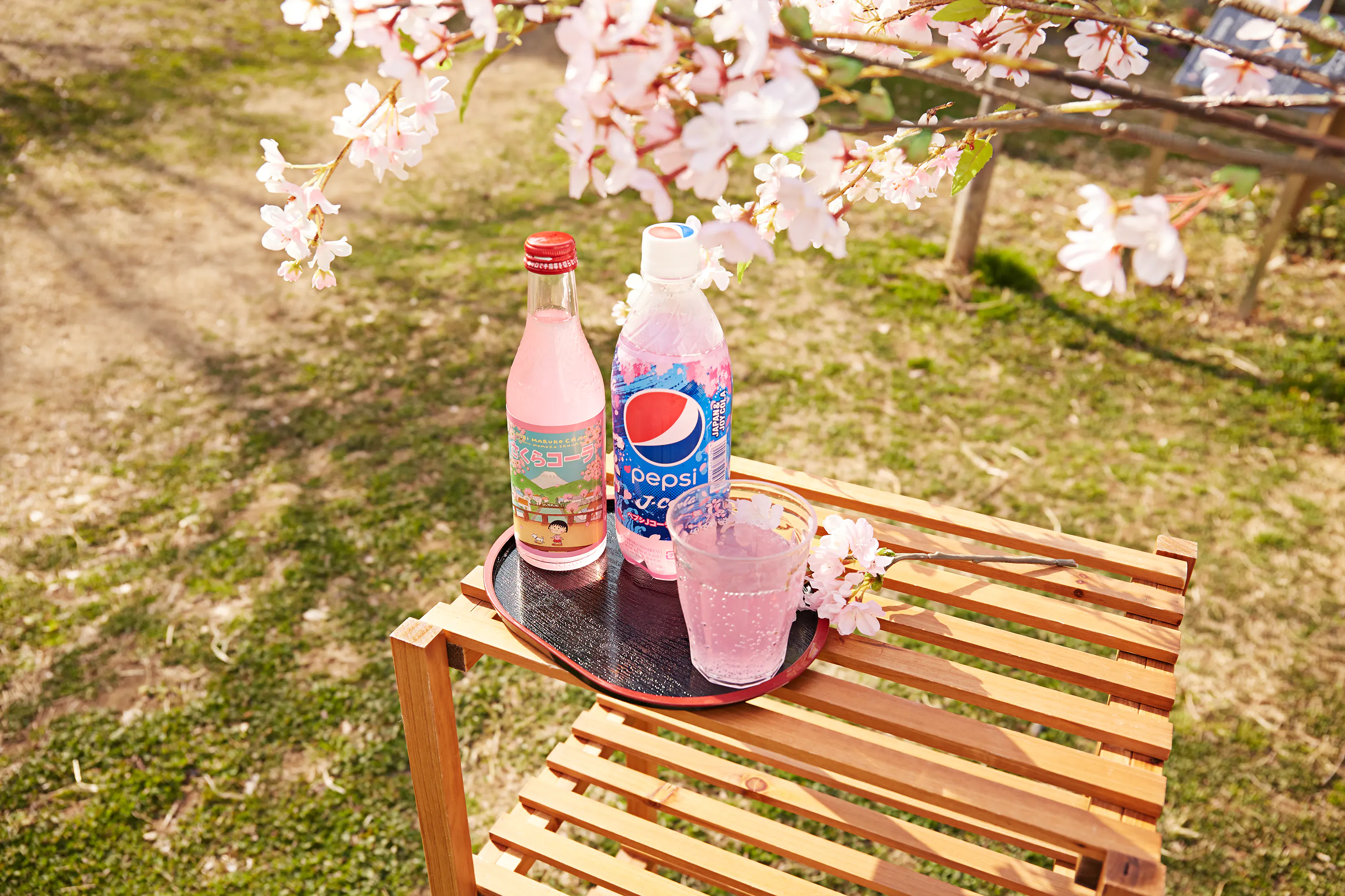Sakura Cola Is Coming To You Tokyotreat Japanese Candy Snacks Subscription Box