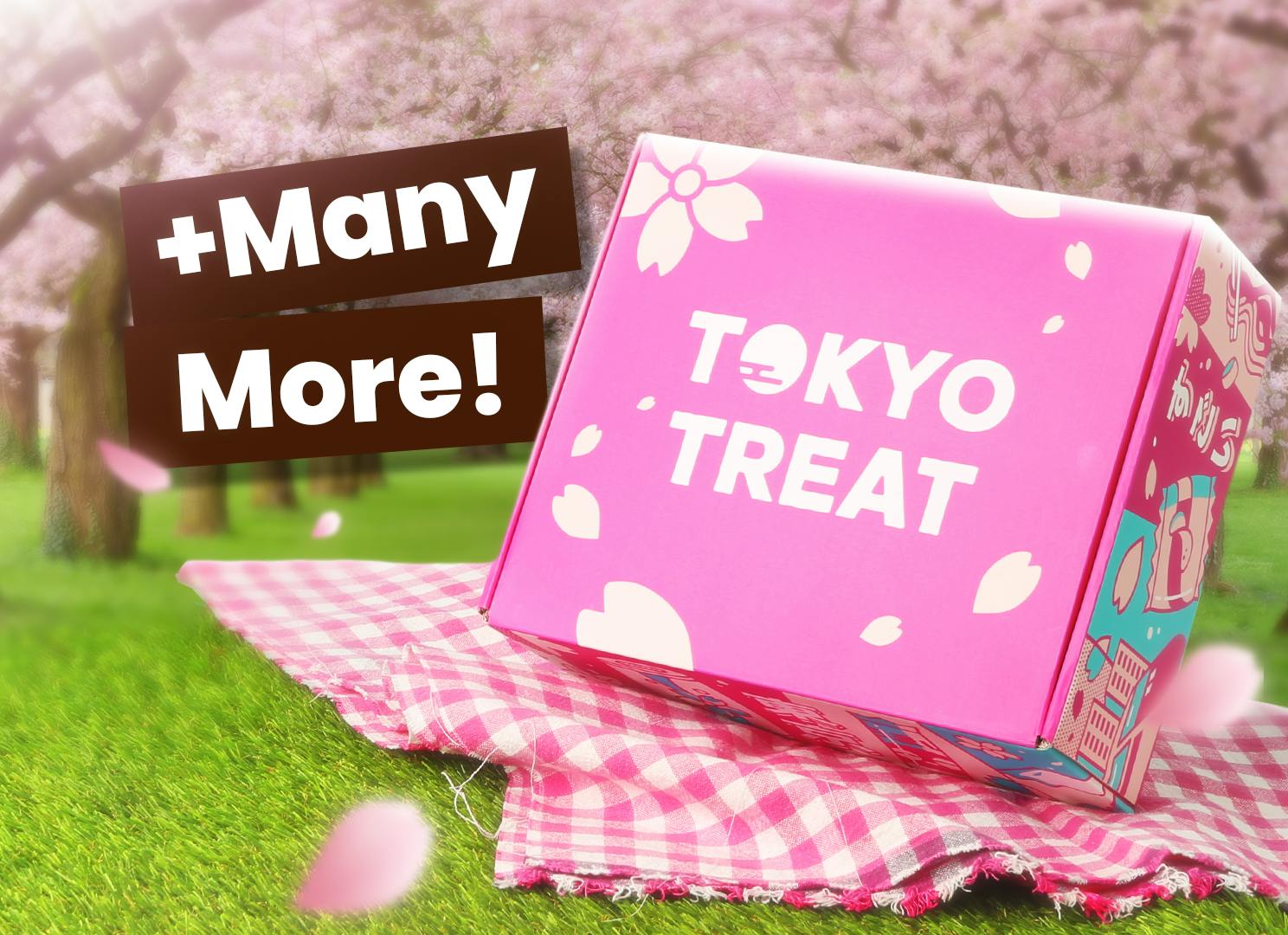 The TokyoTreat box is displayed under the cherry blossoms on a picnic blanket