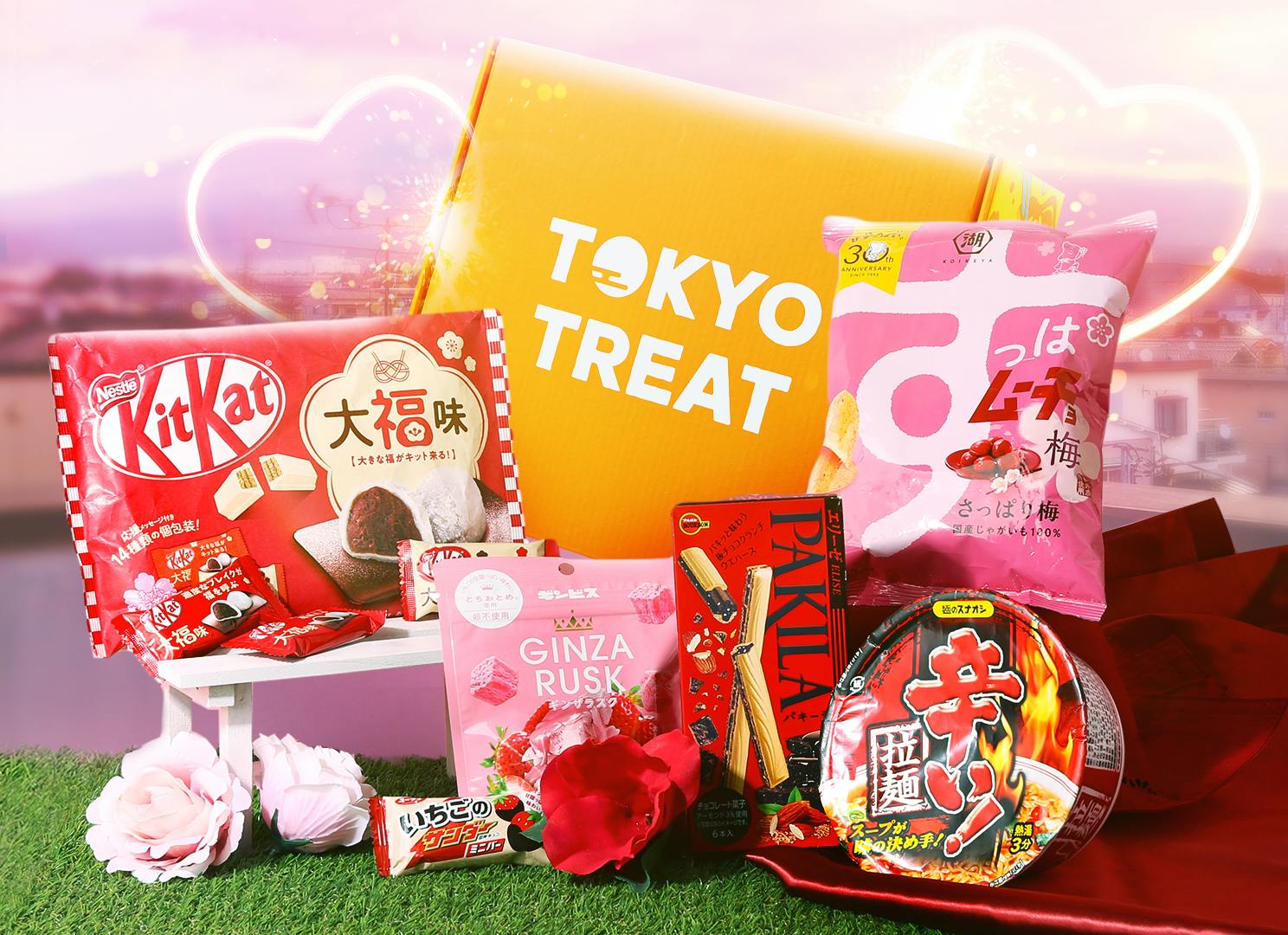 Japanese Snack Box Subscription Tokyotreat 2418