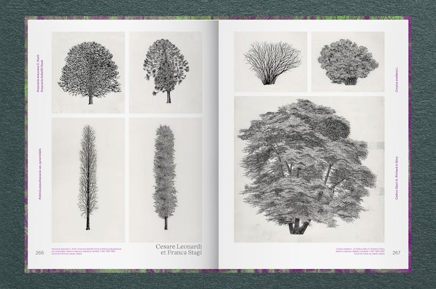 Fondation Cartier / Catalogue Nous les Arbres