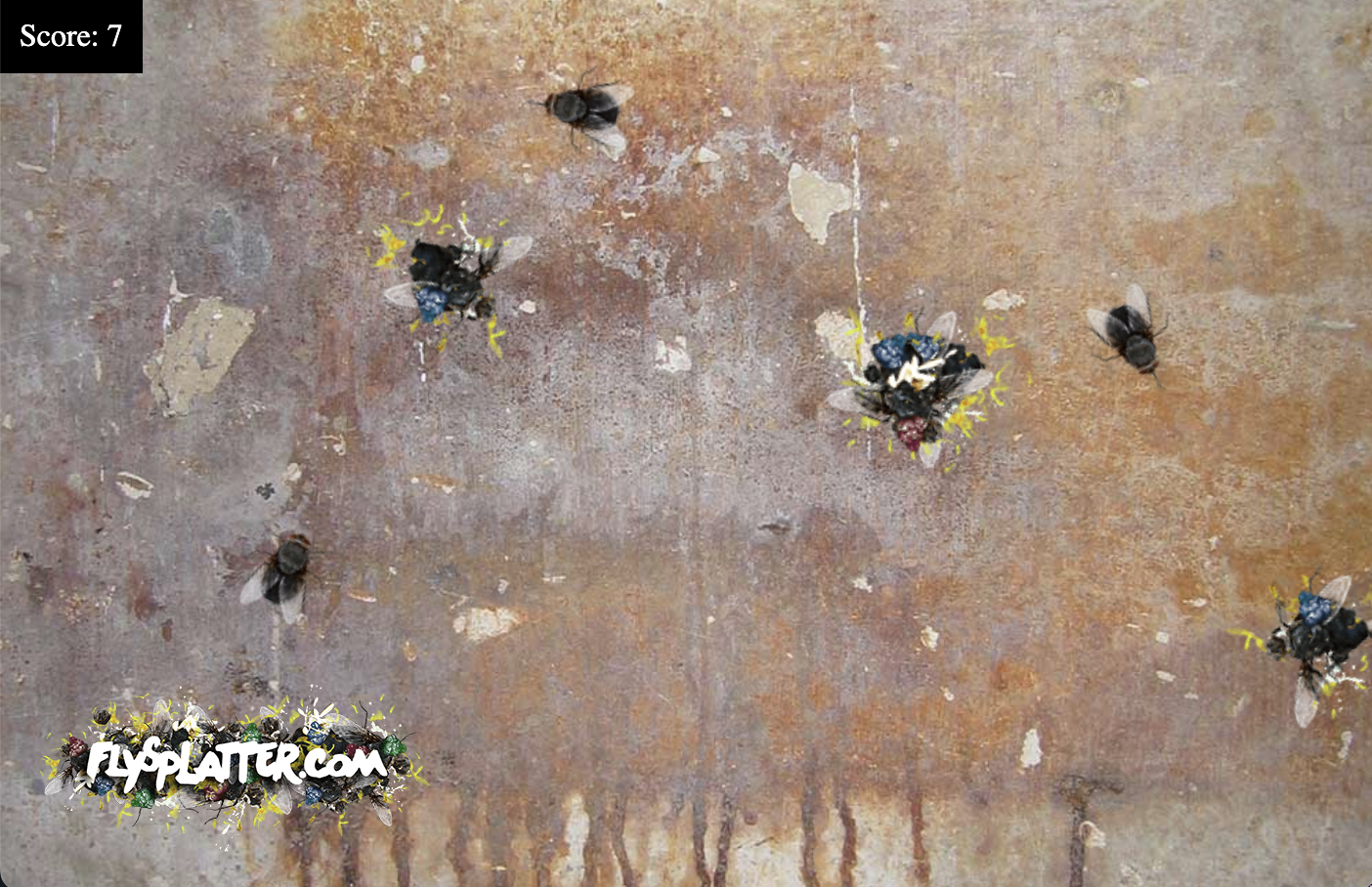 Fly Splatter Game
