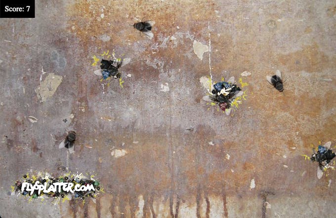Fly Splatter Game