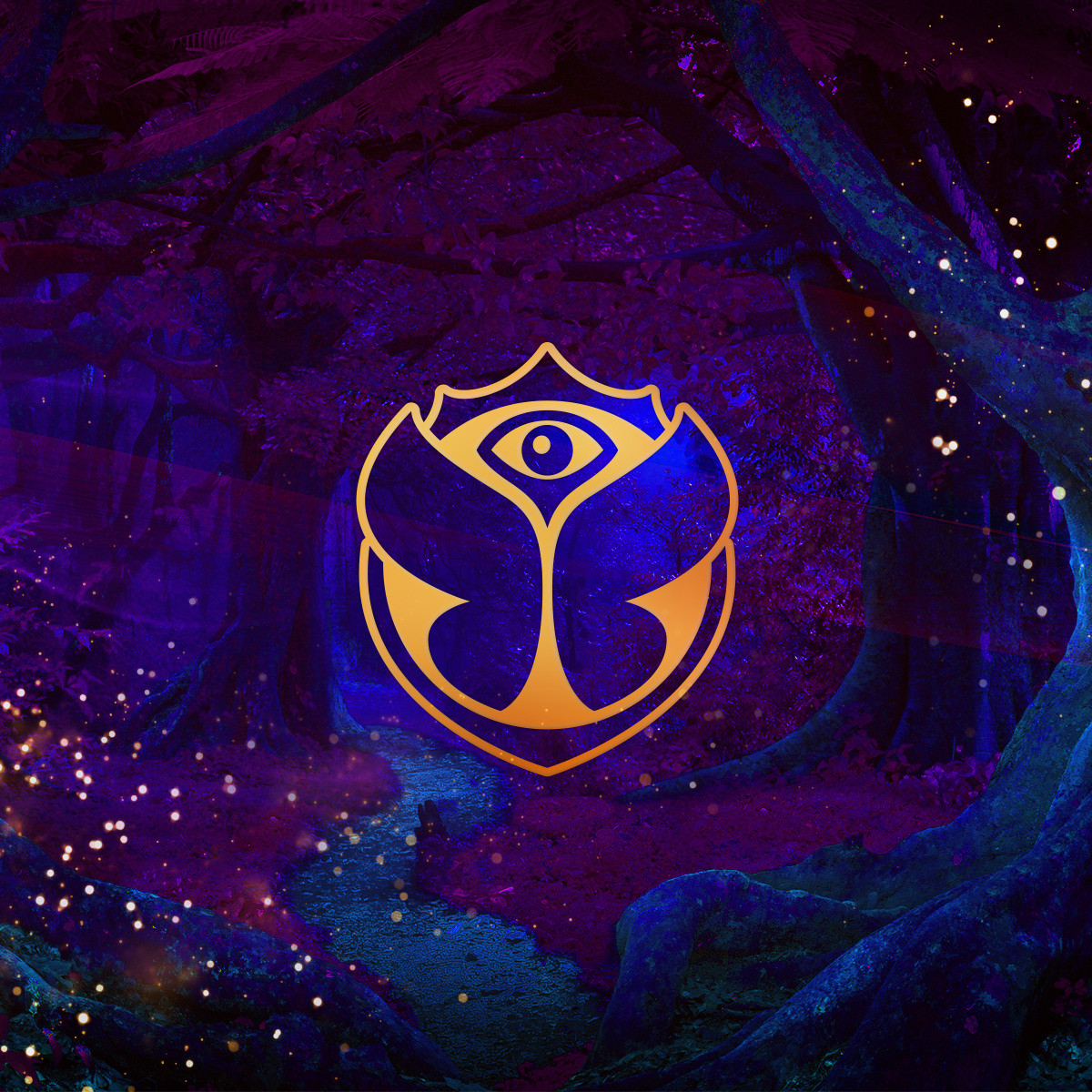 k c sk0zevbyqm https www tomorrowland com