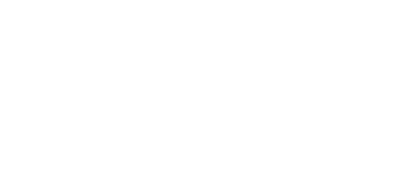 Top Cattle Sales