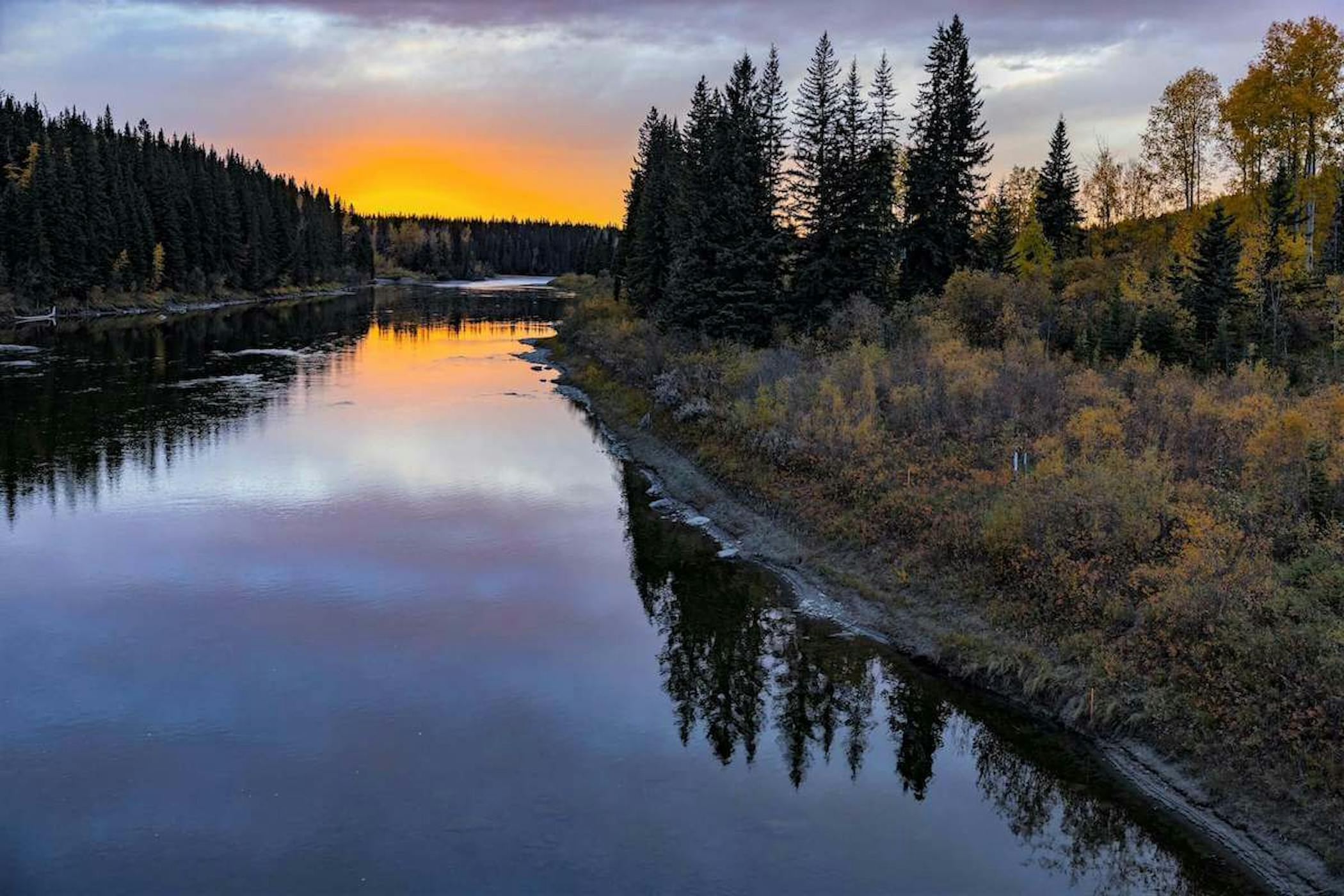 River and trees at sunset