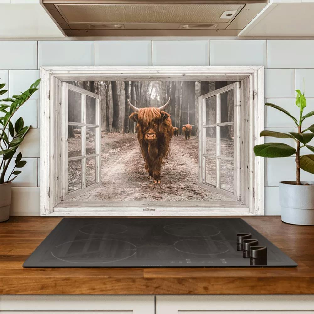 Voorbeeld van een spatscherm met een foto van een Schotse Hooglander