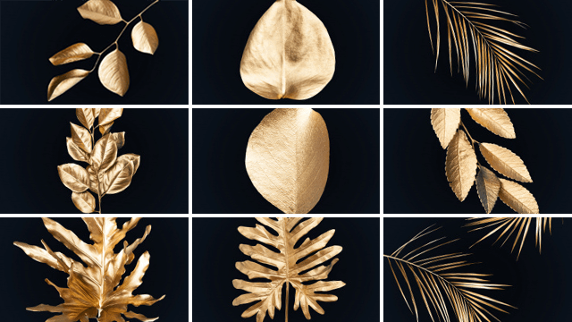 GOLDEN LEAVES
