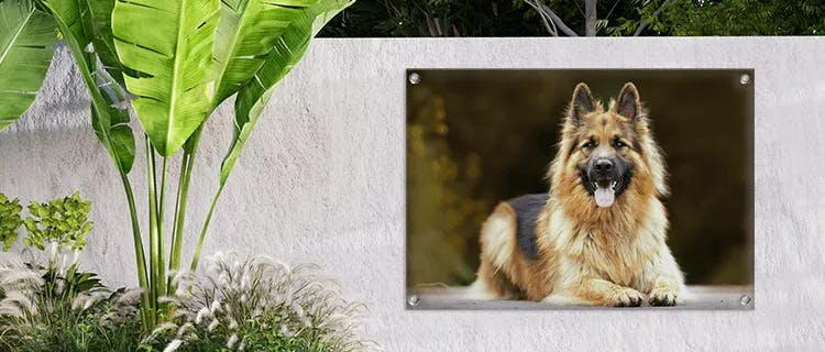 foto op canvas voor buiten