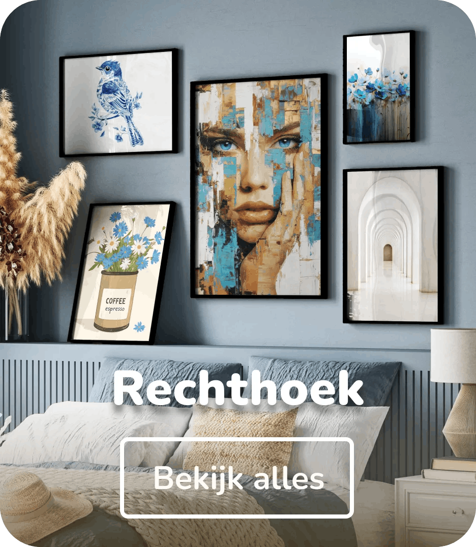 Poster in lijst rechthoek