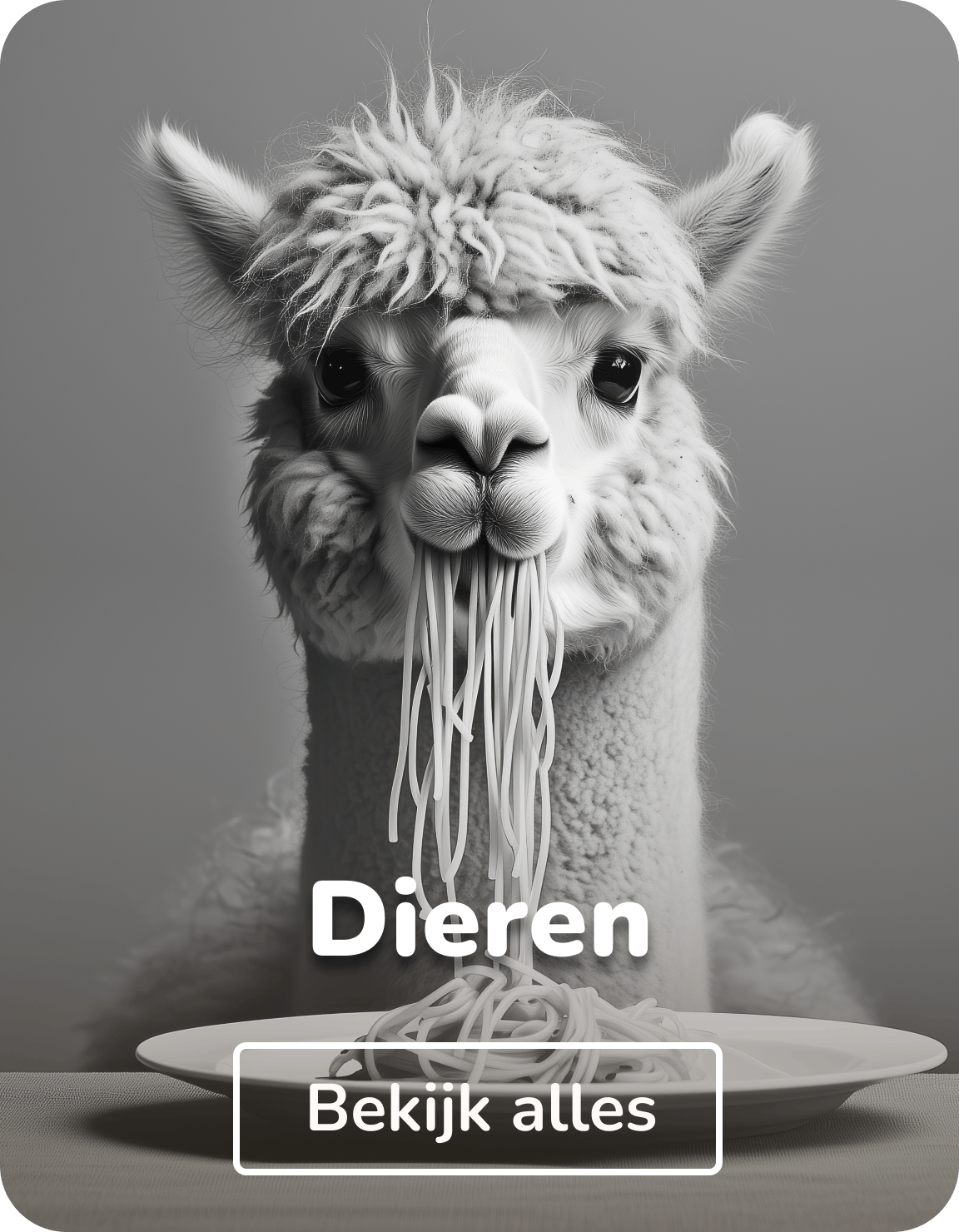 Schoolplaat dieren